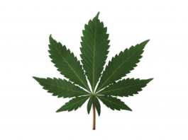 Loudpack Farms is now Greenfieldās largest employer