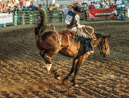 Saddle up for Ranch Rodeo competition