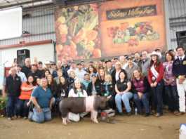 Heritage hog sells for $119K
