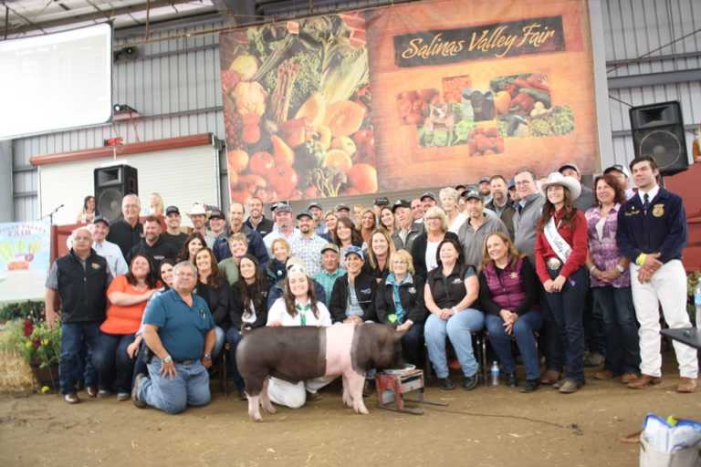 Heritage hog sells for $119K