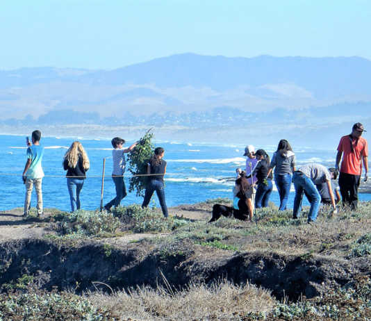 San Ardo students help avert ecological tragedy