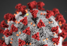 Covid-19, novel coronavirus 2019