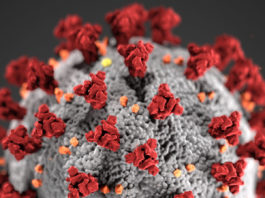 Covid-19, novel coronavirus 2019