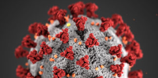 Covid-19, novel coronavirus 2019