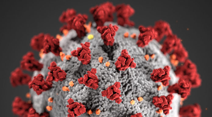 Covid-19, novel coronavirus 2019