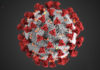 Covid-19, novel coronavirus 2019