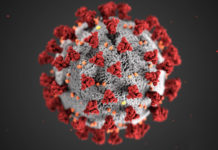 Covid-19, novel coronavirus 2019
