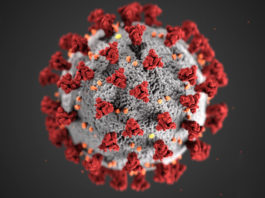 Covid-19, novel coronavirus 2019