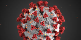 Covid-19, novel coronavirus 2019