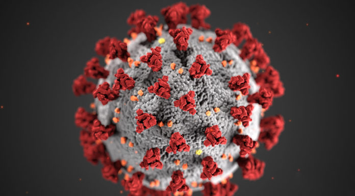 Covid-19, novel coronavirus 2019