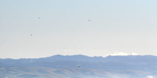 Salinas Valley
