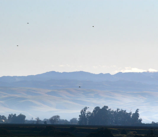 Salinas Valley