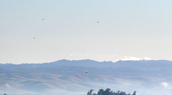 Salinas Valley