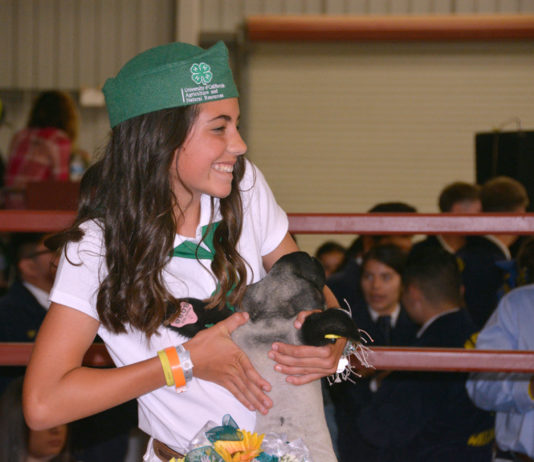 Salinas Valley Fair to host online livestock auction Saturday