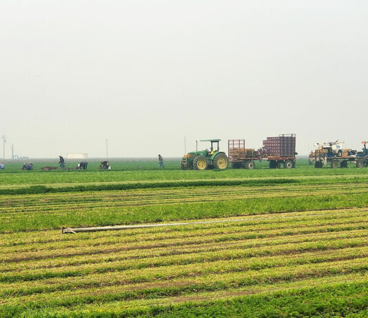 Thousands of respirator masks distributed to Salinas Valley agricultural workers