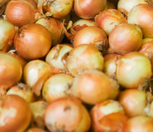 FDA recalls onions from California suppliers after salmonella outbreak