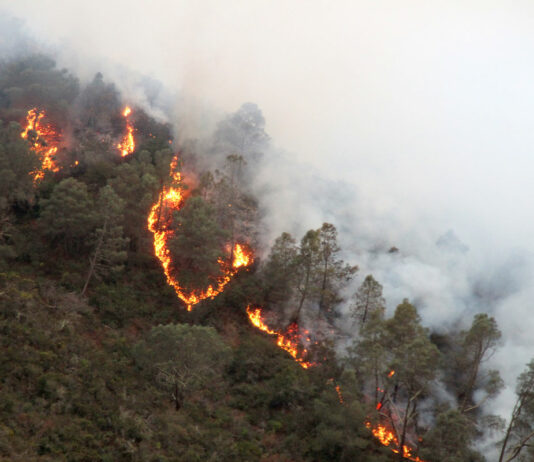 River Fire triples in size, burns more than 15,000 acres south of Salinas