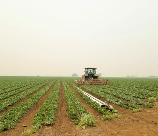 Air quality diminishes as wildfire smoke fills Salinas Valley