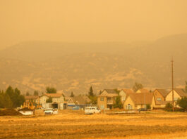 Salinas Valley air quality degrades to āunhealthyā levels as Dolan Fire spreads