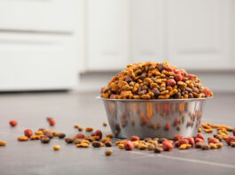 Free pet food bank moves to new Soledad spot