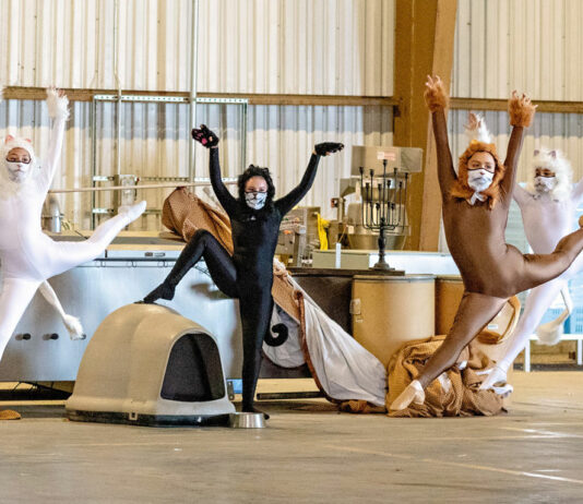 Monterey County Dance Foundation presents virtual performance and fundraiser Friday