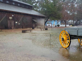 Photos | Rain drenches Salinas Valley