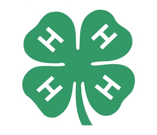 Lockwood 4-H hosts virtual record book workshops