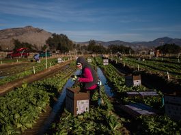 House votes to give millions of āDreamersā and farmworkers a path to citizenship