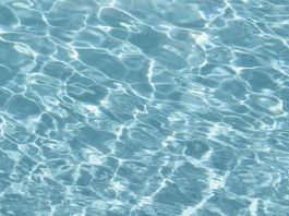 Swimming | Mustang swimmers hit the water