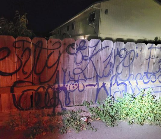 King City man arrested for alley vandalism