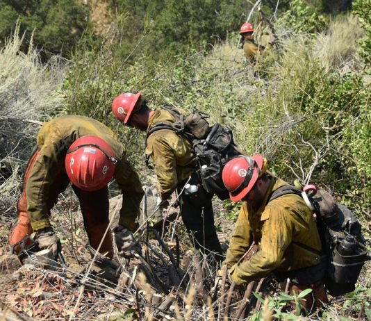 Willow Fire holds steady at nearly 2,400 acres