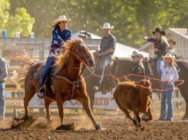 California Rodeo Salinas returns this week with new ambassador, roping events