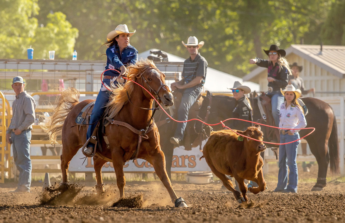 California Rodeo Salinas returns this week with new ambassador, roping