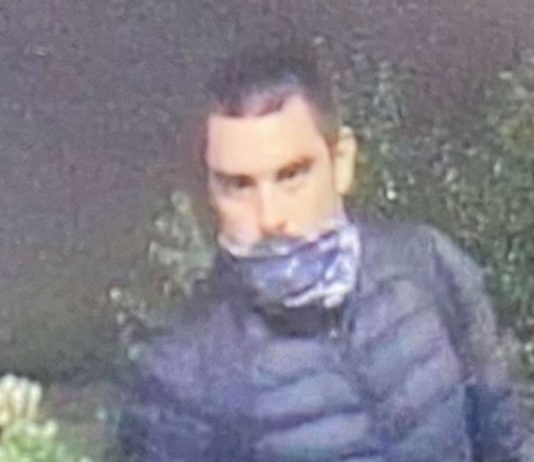 Community helps King City Police nab vandalism suspect