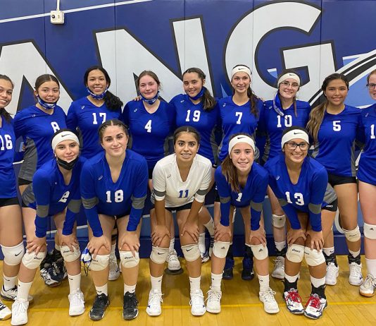 Volleyball | South Monterey County teams spring into action