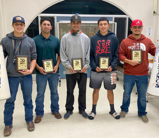Football | All-League players, awards announced for South Monterey County teams