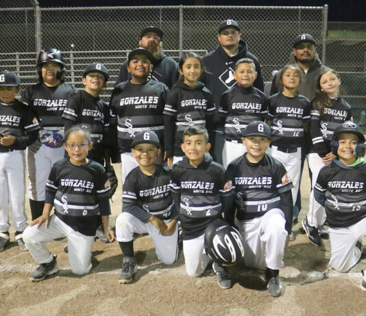 Little League tourney begins this weekend for South Monterey County teams