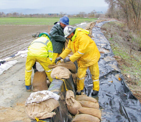 Farmers suffer losses as Salinas Valley fields flood
