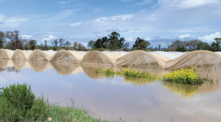 Farms statewide hit by storms and floods