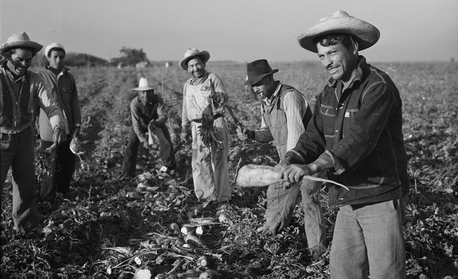 Monterey County supervisors to honor original Bracero workers - The ...