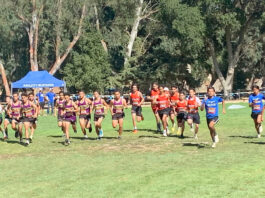 Cross Country | King City Mustangs dominate South County Jamboree