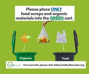salinas valley recycles organic materials food scraps green bin