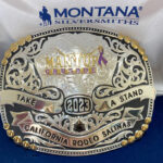 Image for display with article titled California Rodeo Salinas raises awareness for domestic violence in October