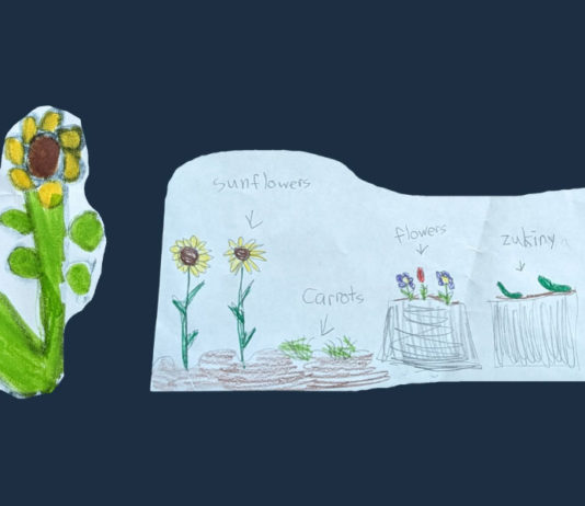 Bradley Elementary School to build first community garden