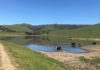 Silacci Ranch