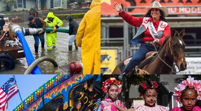 Year In Review