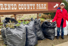 King City in Bloom cleanup