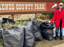King City in Bloom cleanup