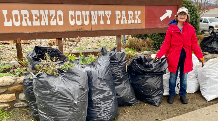 King City in Bloom cleanup