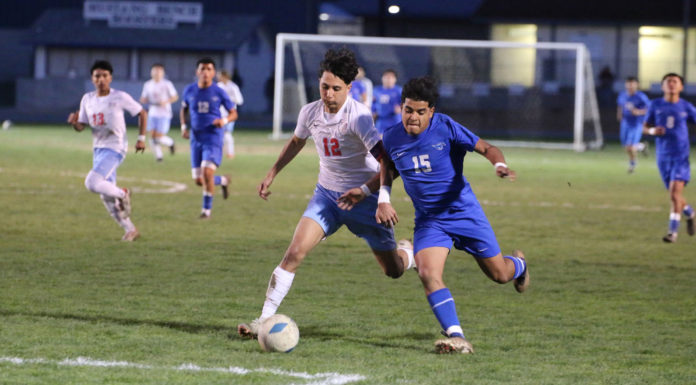 King City Mustangs soccer